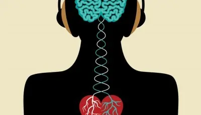 Brain